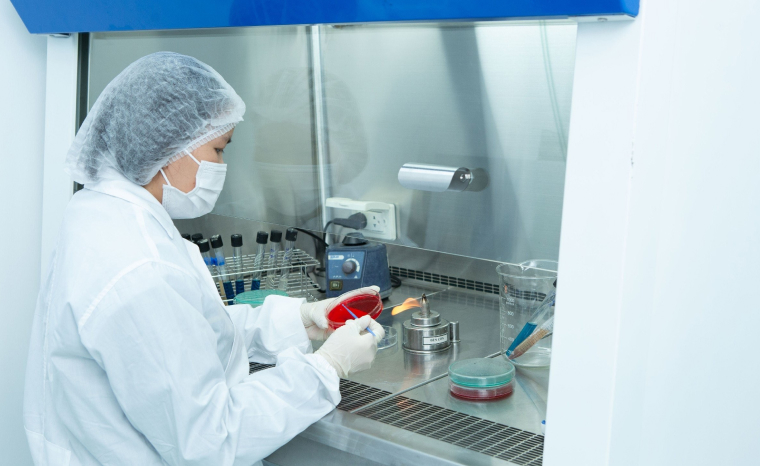 Quality Control and Quality<br > Assurance